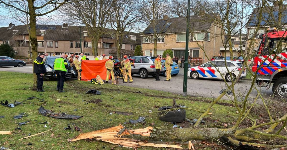 Man uit Dronten overlijdt na ernstig ongeval in Brabant.
