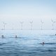 Lieve Blancquaert over haar beeld van de week: ‘Vind ik deze wind­molens wel kunnen, best mooi of juist heel storend?’