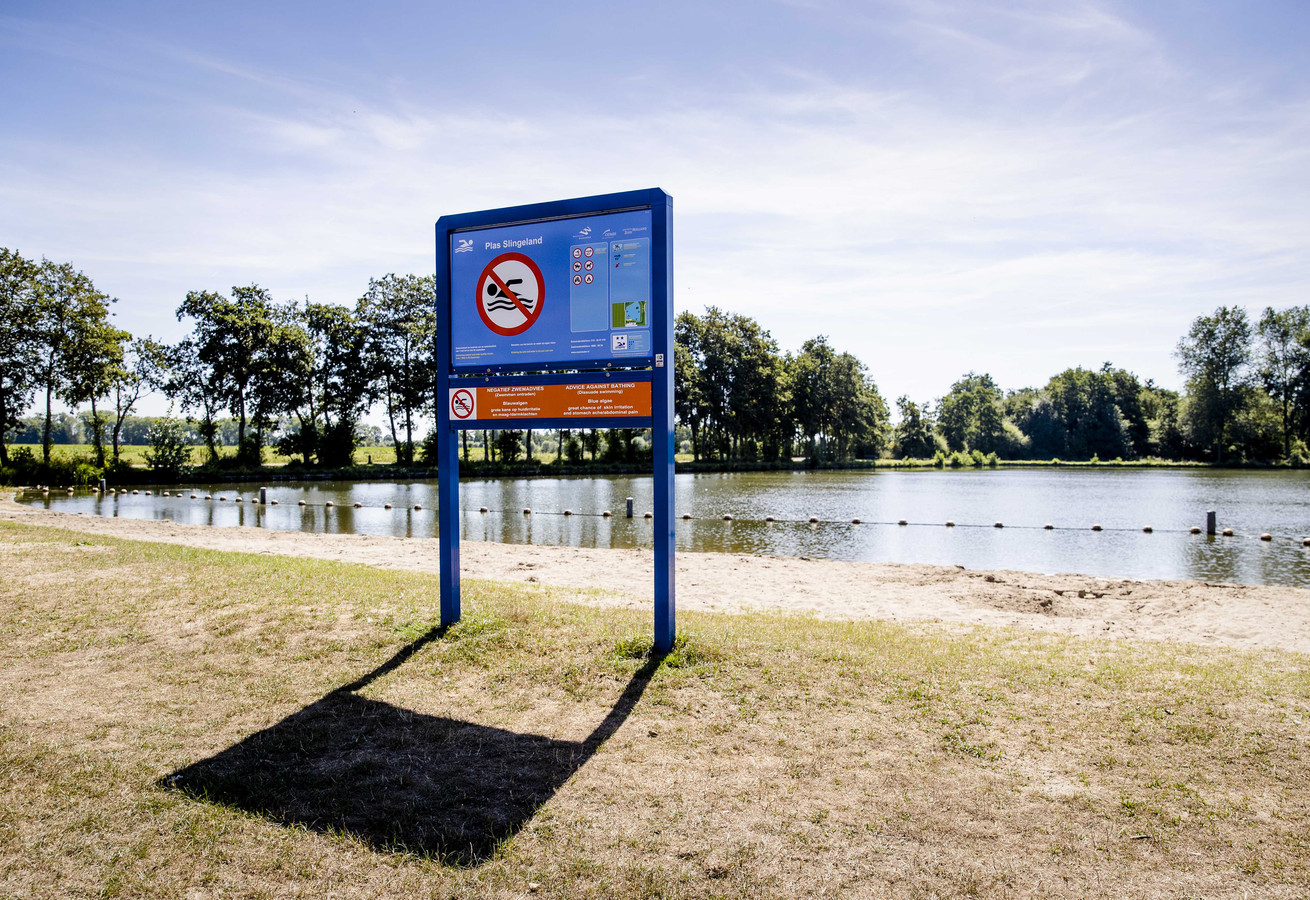 na-nieuwe-regionale-hittegolf-volgt-kleine-bui-maar-daar-heeft-alleen