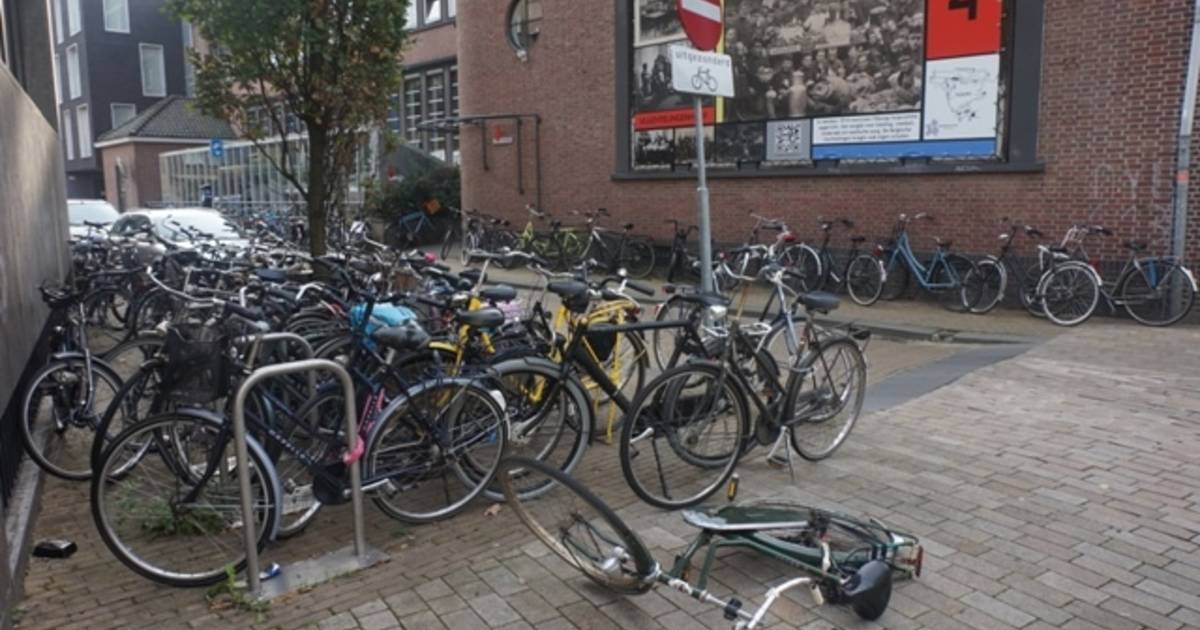 Bijwonen Ieder snor Tilburg & de verwijderde fietsen (meer dan 3000 per jaar) | Stadsgezicht  Tilburg | bd.nl