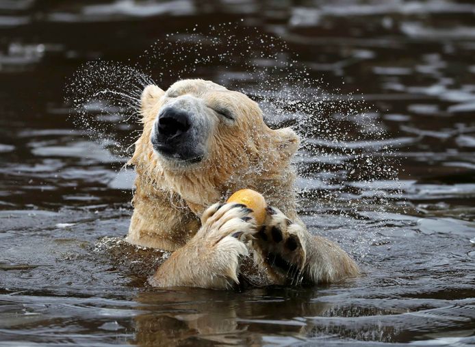 REUTERS