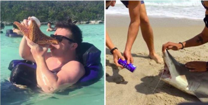 Een man giet zijn drankje in een zeester en slurpt daaruit, een andere slaat zijn blik bier open in de muil van een gestrande haai.