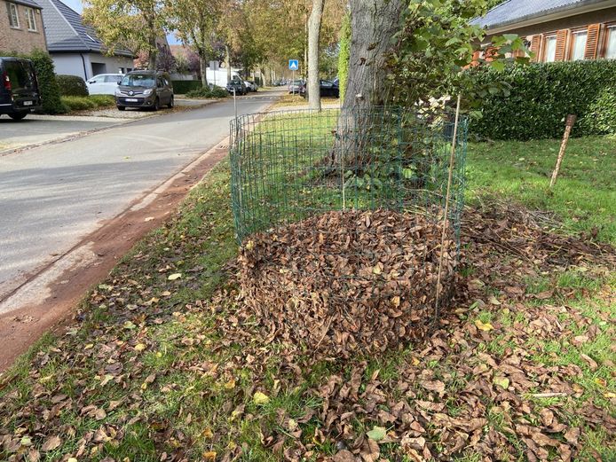 Ook in Mesen worden er bladkorven geplaatst (foto ter illustratie).