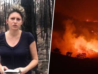 Bosbranden in Australië komen samen in "megabrand”, onze reporter ter plaatse brengt verslag uit