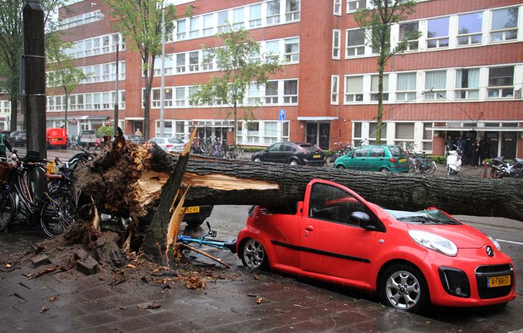Een omgewaaide boom aan de Hoofdweg in Amsterdam plette een auto en beschadigde de bovenleiding van de tram. Beeld anp