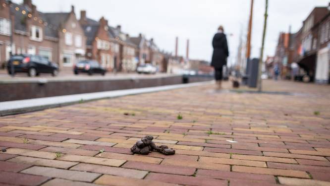 Inwoners van De Ronde Venen voelen zich veilig, maar balen van hondenpoep en verkeershufters