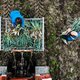 Biologische landbouw beter voor klimaat en natuur dan gangbare landbouw
