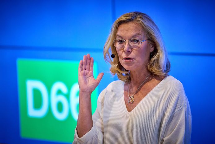 D66 heeft tonnen uitgegeven aan juridische kosten.