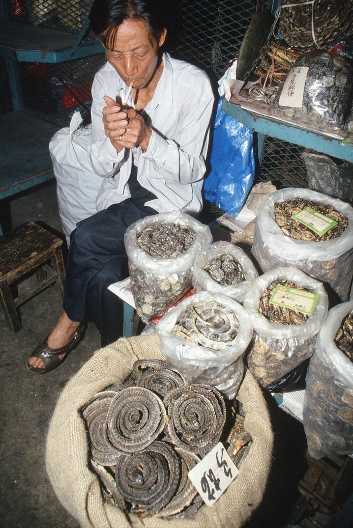 Een slangenverkoper op een van de vele markten in China waar wilde dieren verhandeld worden.