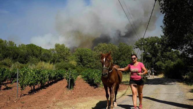Paniek op Franse campings door bosbranden: ‘Je hoorde kinderen gillen’