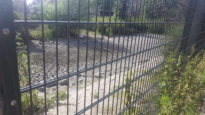 Het droogliggende onderkomen van de zwanen, kort voordat het weer werd gevuld met water.