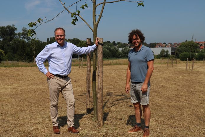 Regionaal landschap en Sint-Pieters-Leeuw lanceren ideeënoproep voor inrichting nieuw Damiaanpark.