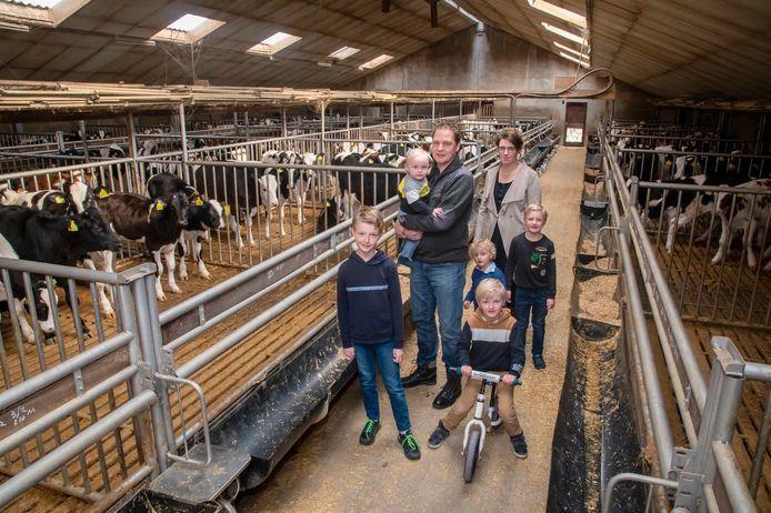 Een boerengezin in de kalverstal. Gezinsboeren zijn hard werkende mensen die met pijn en moeite een eerlijke boterham kunnen verdienen. Archieffoto Ruben Schipper © Ruben Schipper Fotografie