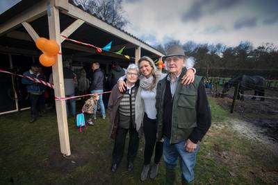 Piet Goossens moet nu echt een andere plek voor zijn paarden zoeken: ‘Alle kaarten zijn gespeeld’