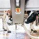 Nu ook melk en yoghurt met Beter Leven-keurmerk