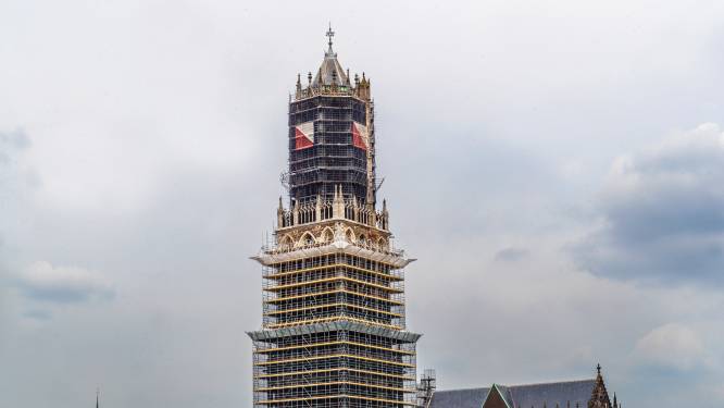De Dom reist heel Utrecht door: van kunstwerk in Máximapark tot mogelijk zelfs onderwaterrif in Singel 