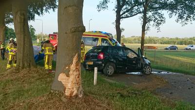 Bestuurder zwaargewond door botsing tegen boom in Hummelo