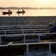 Geen plek is te gek voor zonnepanelen