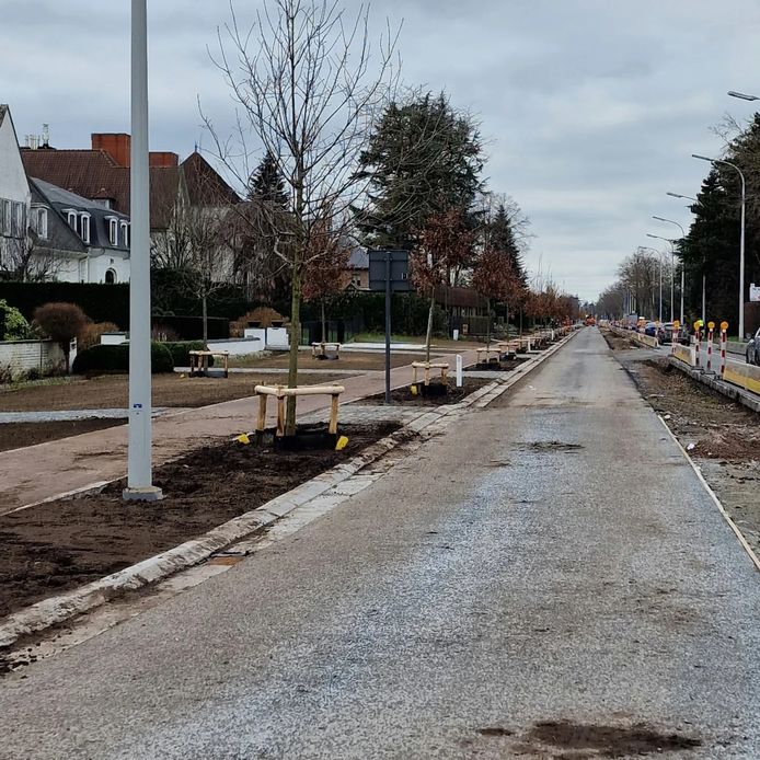 De Leopoldlaan in Eeklo.