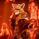 En toen waagde VTM zich aan een Koreaanse freakshow: hoe The Masked Singer een hit werd