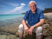 David Attenborough bracht natuur naar grote publiek, maar ‘hij liet iets te lang alleen mooie plaatjes zien’