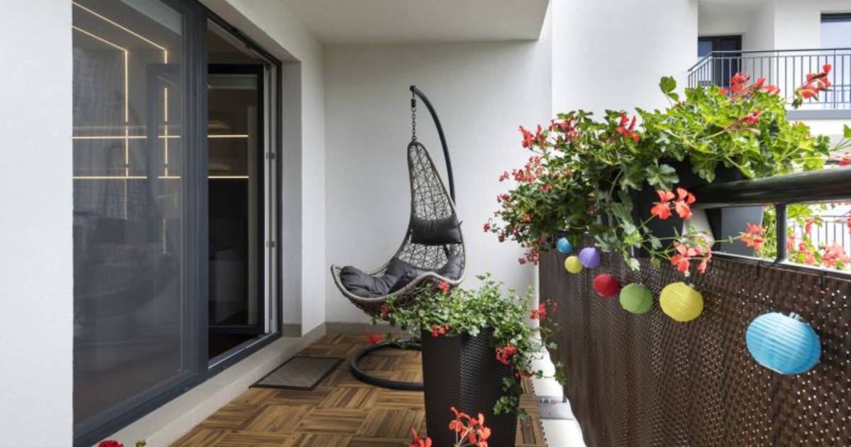 soep Haas been Met deze vijf tips maak je van elk balkon of iedere binnenkoer een groene  stadsoase | WOON. | hln.be