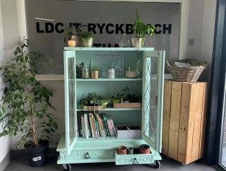Plantenruilkast in lokaal dienstencentrum ’t Ryckbosch