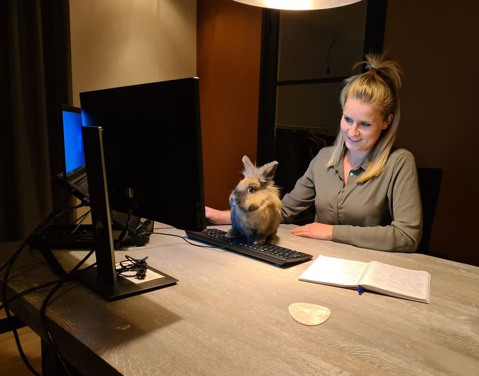 Konijn Bikkel (3) biedt Nicole Roelands gezelschap, samen met maatje Boem (4). Vraag Nicole waarom ze voor deze huisdieren koos, dan twijfelt ze niet: ,,Net zo zindelijk als honden, maar deze hoef je niet uit te laten. Al zou ik dat in deze coronatijd ook niet erg vinden.”