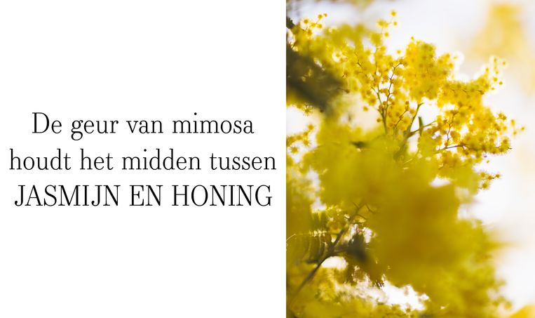 null Beeld 