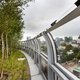 We moeten ons daklandschap beter benutten: Rotterdams dakbos wordt omarmd met prijs