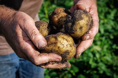 Omwonenden opslagloods voor piepers in De Mortel willen dat gemeente terugkomt van besluit