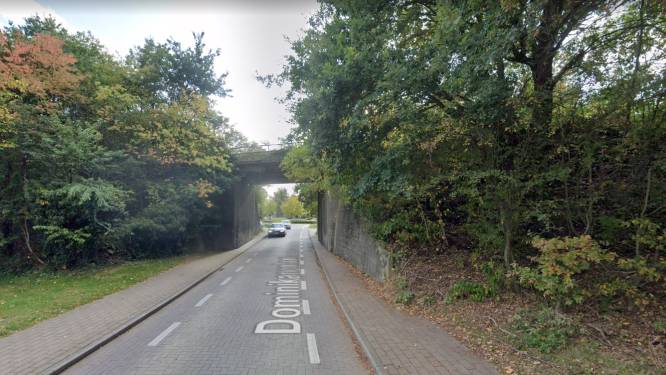 Na vervallen vergunning wordt spoorwegbrug Dominikanenlaan toch vernieuwd