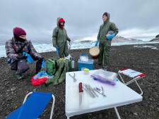 Vogelgrieponderzoeker Lineke terug uit Antarctica: ‘Die ramp is niet meer te stoppen’