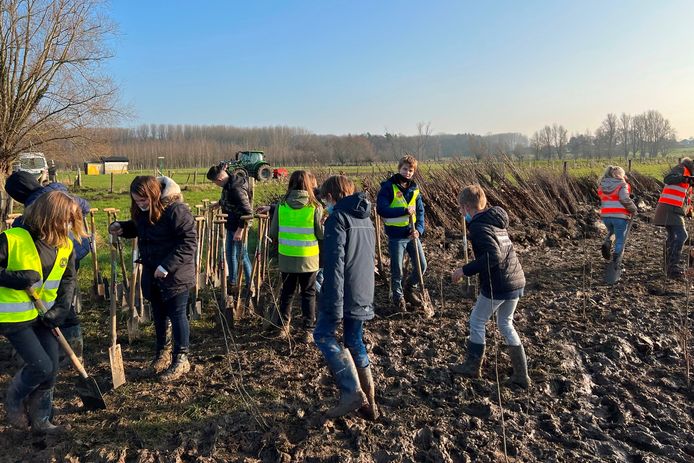 Leerlingen van de Vrije Basisscholen Sterreneiland van Smetlede en Wanzele hielpen maandag mee met het planten van 2,7 hectare extra bos in de Vallei van de Serskampse Beek.