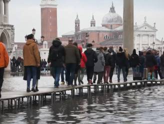 VIDEO. Beroemde San Marcoplein in Venetië staat opnieuw onder water