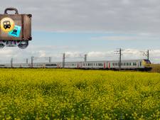 Drie talen in één treinreis: van onverstaanbaar Vlaams via Frans naar Duits
