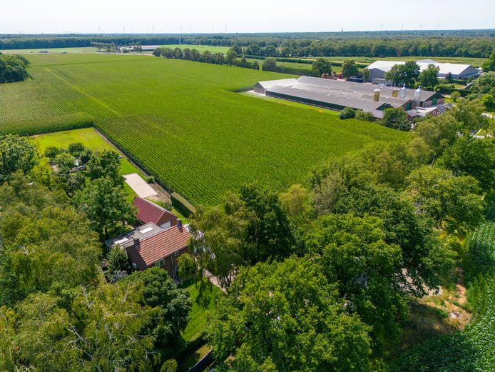 De woning van de pluimveehouder aan de Lage Brugweg grenst aan een perceel mais waarover de verdachten mogelijk richting de A67 (bovenaan de foto) zijn gevlucht.