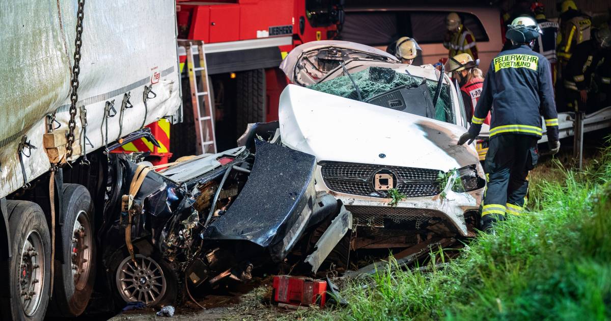 Trucker Marinus (58) wil helpen na crash en wordt doodgereden ‘We zijn