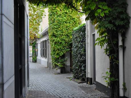 7 x Instagramwaardige plekjes in Helmond voor de beste foto's