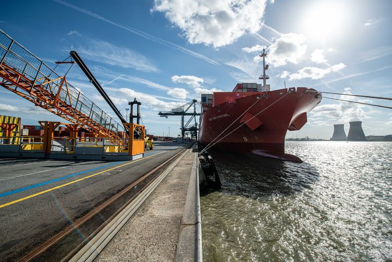 Een deel van de cocaïne werd via de haven van Antwerpen ingevoerd. Beeld BELGA