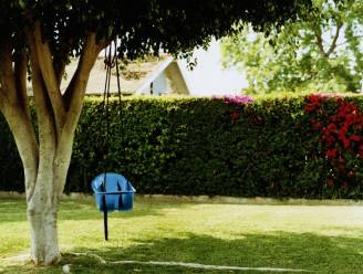 Je tuin omheinen: dit zijn de regels