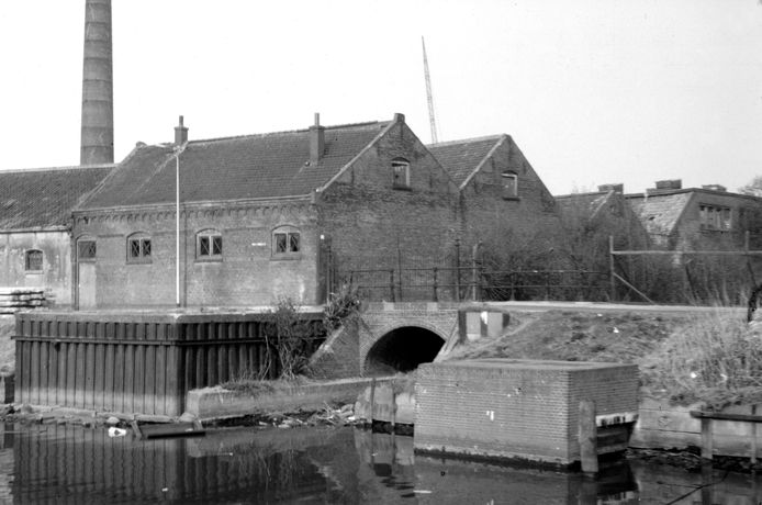 Een Witgeel Tapijt Van Maden Bedekte De Straten Rond De Beenzwartfabriek Toen En Nu Ad Nl