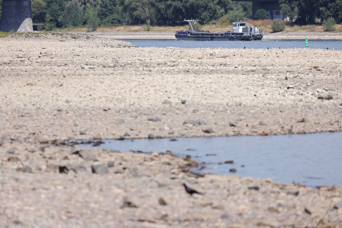 Het niveau van het water in de Rijn is zo laag dat scheepvaart bijna onmogelijk wordt.