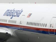 Adviseur: 'Toestel getroffen door Buk -raket'