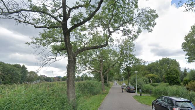 Gerrit (80) uit Amstelveen vermist, politie zoekt in grensgebied Amsterdam