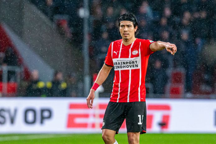 De blessure van Érick Gutiérrez valt mee.
