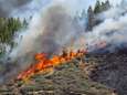 Grote bosbrand op Gran Canaria onder controle: duizend mensen geëvacueerd