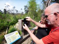 Bezoekers van Stormpad leggen samen vast hoe het verwoeste bos in Leersum verandert
