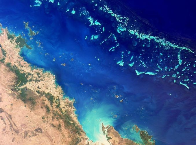 Great Barrier Reef in 27 jaar gehalveerd | Foto | bndestem.nl
