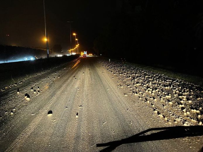 De aardappelen versperren een groot deel van de R4